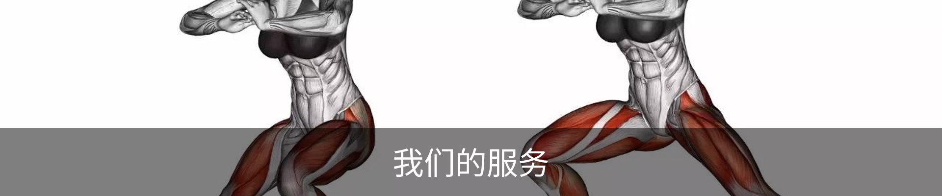 我们的服务